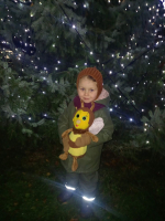 Fotografie strom2_original.jpg